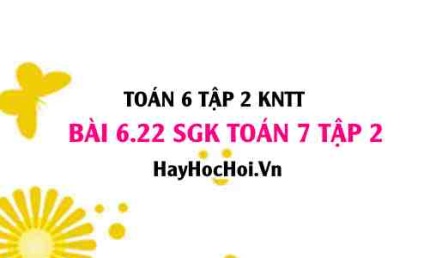 Bài 6.22 SGK Toán 7 tập 2 Kết nối tri thức